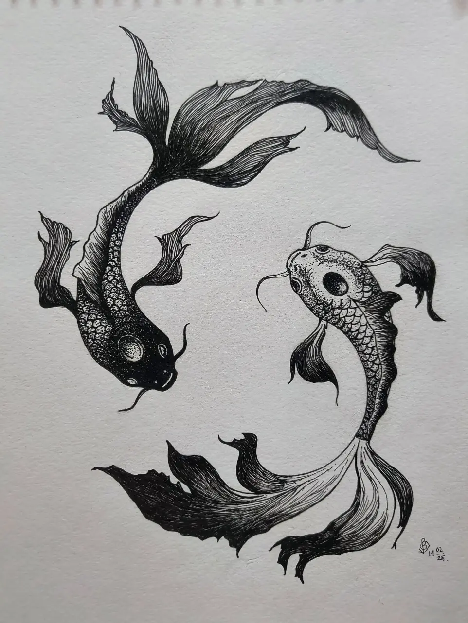 koi fish ying yang pen art with black pen